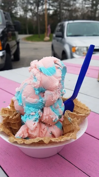Cotton candy sundae on Polar Cave's pink picnic table