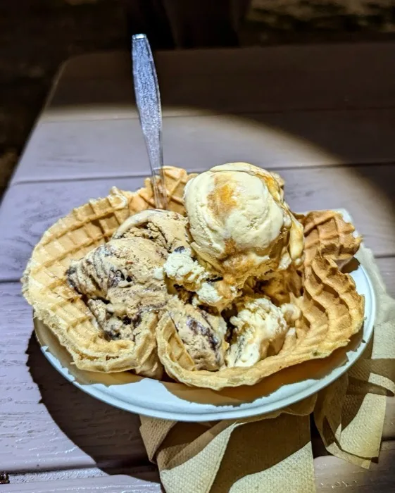 Waffle bowl piled high with multiple scoops of ice cream