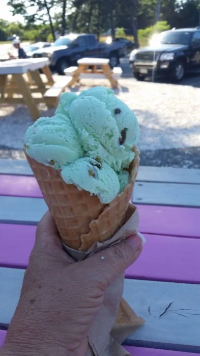 Mint chocolate chip cone outside Polar Cave's picnic tables